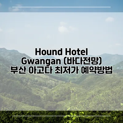 Hound Hotel Gwangan (바다전망) 부산 아고다 최저가 예약방법