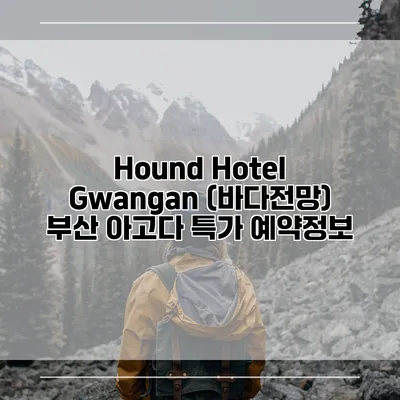 Hound Hotel Gwangan (바다전망) 부산 아고다 특가 예약정보