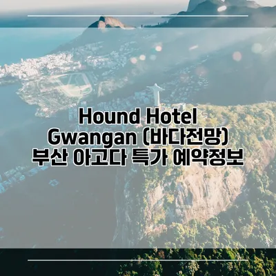 Hound Hotel Gwangan (바다전망) 부산 아고다 특가 예약정보