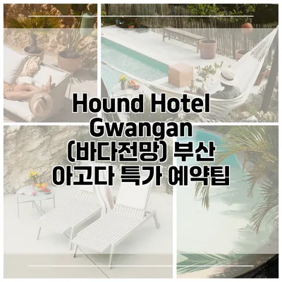 Hound Hotel Gwangan (바다전망) 부산 아고다 특가 예약팁
