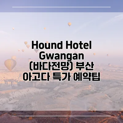 Hound Hotel Gwangan (바다전망) 부산 아고다 특가 예약팁