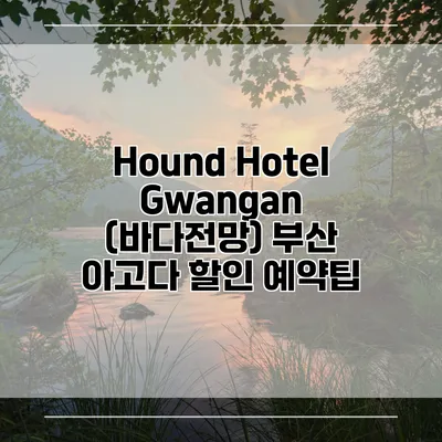 Hound Hotel Gwangan (바다전망) 부산 아고다 할인 예약팁