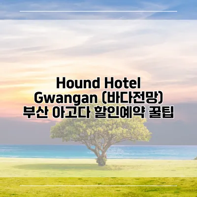 Hound Hotel Gwangan (바다전망) 부산 아고다 할인예약 꿀팁