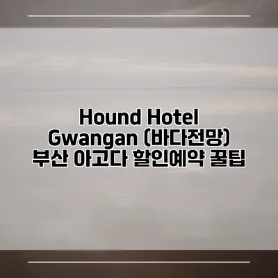 Hound Hotel Gwangan (바다전망) 부산 아고다 할인예약 꿀팁