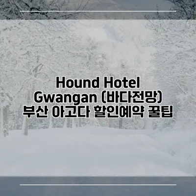 Hound Hotel Gwangan (바다전망) 부산 아고다 할인예약 꿀팁