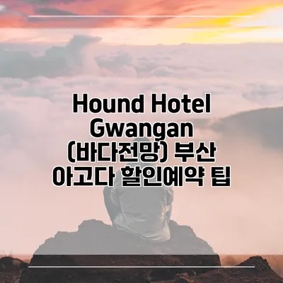 Hound Hotel Gwangan (바다전망) 부산 아고다 할인예약 팁