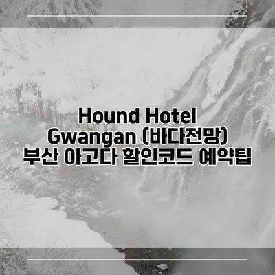Hound Hotel Gwangan (바다전망) 부산 아고다 할인코드 예약팁