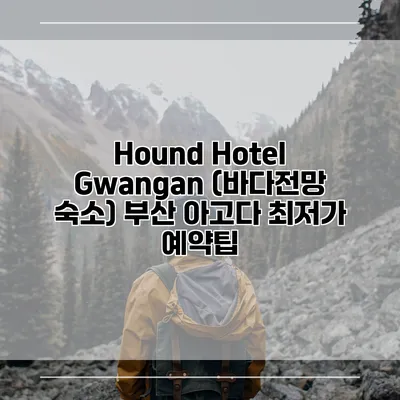 Hound Hotel Gwangan (바다전망 숙소) 부산 아고다 최저가 예약팁