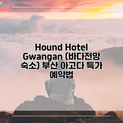 Hound Hotel Gwangan (바다전망 숙소) 부산 아고다 특가 예약법