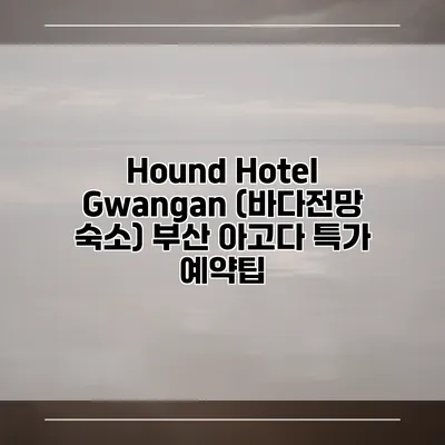 Hound Hotel Gwangan (바다전망 숙소) 부산 아고다 특가 예약팁