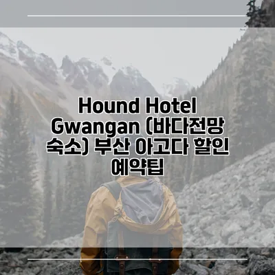 Hound Hotel Gwangan (바다전망 숙소) 부산 아고다 할인 예약팁