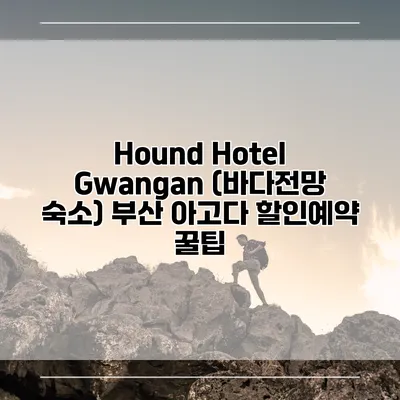 Hound Hotel Gwangan (바다전망 숙소) 부산 아고다 할인예약 꿀팁