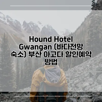 Hound Hotel Gwangan (바다전망 숙소) 부산 아고다 할인예약 방법