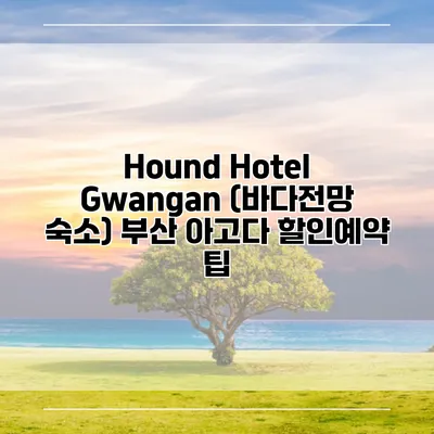 Hound Hotel Gwangan (바다전망 숙소) 부산 아고다 할인예약 팁