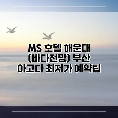 MS 호텔 해운대 (바다전망) 부산 아고다 최저가 예약팁