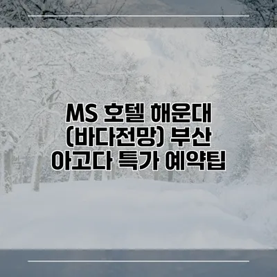 MS 호텔 해운대 (바다전망) 부산 아고다 특가 예약팁