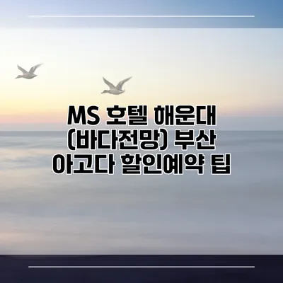 MS 호텔 해운대 (바다전망) 부산 아고다 할인예약 팁
