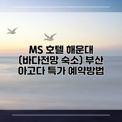 MS 호텔 해운대 (바다전망 숙소) 부산 아고다 특가 예약방법