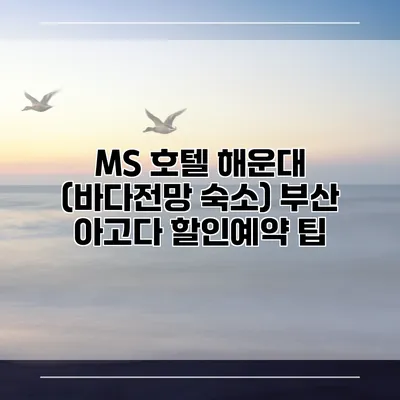 MS 호텔 해운대 (바다전망 숙소) 부산 아고다 할인예약 팁