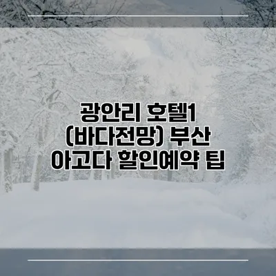 광안리 호텔1 (바다전망) 부산 아고다 할인예약 팁