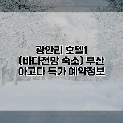 광안리 호텔1 (바다전망 숙소) 부산 아고다 특가 예약정보