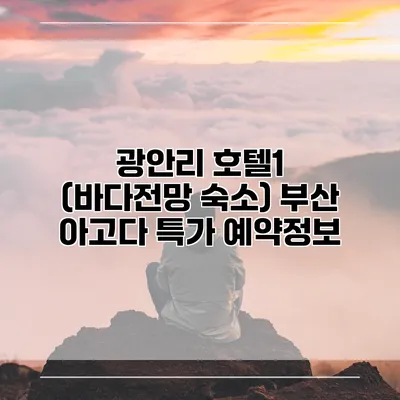 광안리 호텔1 (바다전망 숙소) 부산 아고다 특가 예약정보