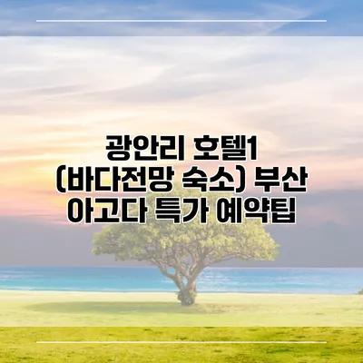 광안리 호텔1 (바다전망 숙소) 부산 아고다 특가 예약팁