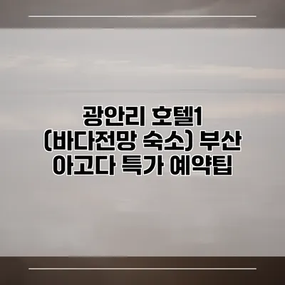 광안리 호텔1 (바다전망 숙소) 부산 아고다 특가 예약팁