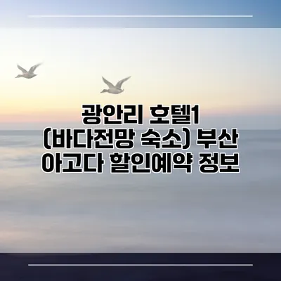 광안리 호텔1 (바다전망 숙소) 부산 아고다 할인예약 정보