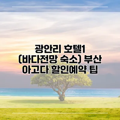 광안리 호텔1 (바다전망 숙소) 부산 아고다 할인예약 팁