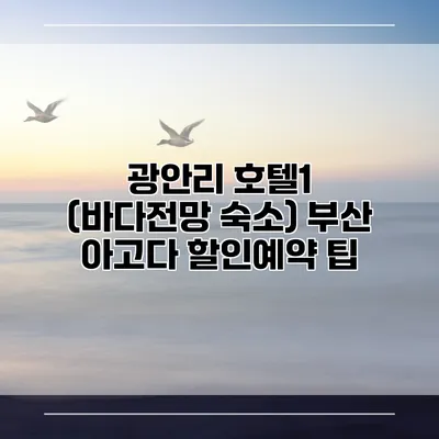 광안리 호텔1 (바다전망 숙소) 부산 아고다 할인예약 팁