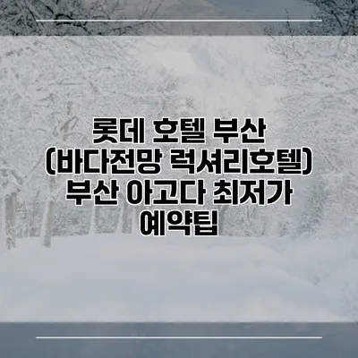 롯데 호텔 부산 (바다전망 럭셔리호텔) 부산 아고다 최저가 예약팁