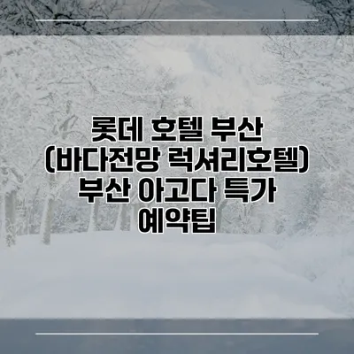 롯데 호텔 부산 (바다전망 럭셔리호텔) 부산 아고다 특가 예약팁