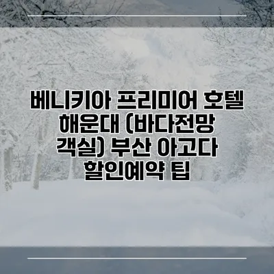 베니키아 프리미어 호텔 해운대 (바다전망 객실) 부산 아고다 할인예약 팁