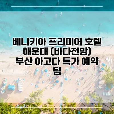 베니키아 프리미어 호텔 해운대 (바다전망) 부산 아고다 특가 예약 팁