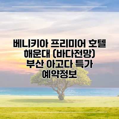 베니키아 프리미어 호텔 해운대 (바다전망) 부산 아고다 특가 예약정보