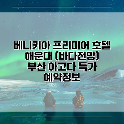 베니키아 프리미어 호텔 해운대 (바다전망) 부산 아고다 특가 예약정보