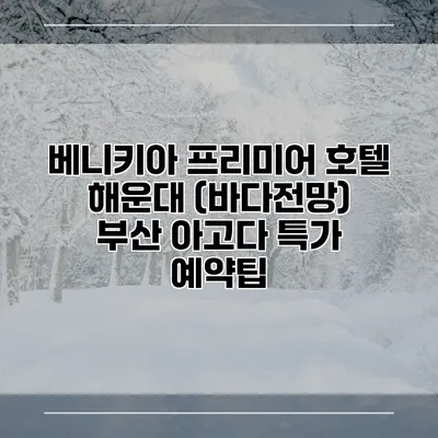 베니키아 프리미어 호텔 해운대 (바다전망) 부산 아고다 특가 예약팁