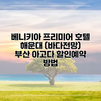 베니키아 프리미어 호텔 해운대 (바다전망) 부산 아고다 할인예약 방법