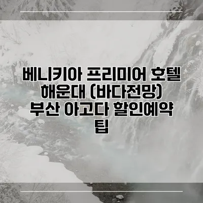 베니키아 프리미어 호텔 해운대 (바다전망) 부산 아고다 할인예약 팁