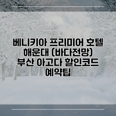 베니키아 프리미어 호텔 해운대 (바다전망) 부산 아고다 할인코드 예약팁