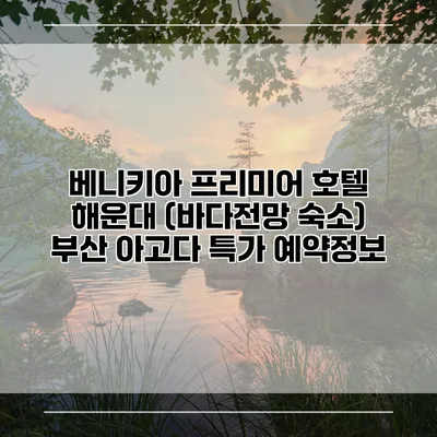 베니키아 프리미어 호텔 해운대 (바다전망 숙소) 부산 아고다 특가 예약정보