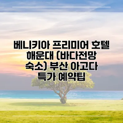 베니키아 프리미어 호텔 해운대 (바다전망 숙소) 부산 아고다 특가 예약팁
