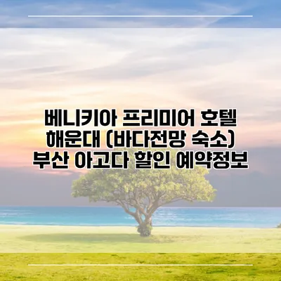베니키아 프리미어 호텔 해운대 (바다전망 숙소) 부산 아고다 할인 예약정보