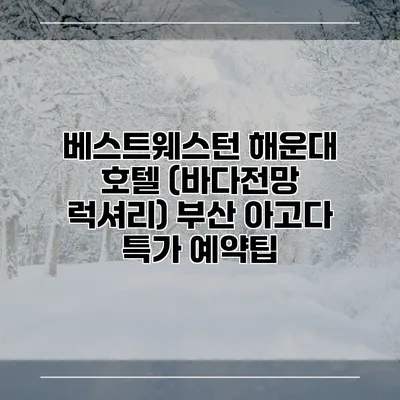 베스트웨스턴 해운대 호텔 (바다전망 럭셔리) 부산 아고다 특가 예약팁