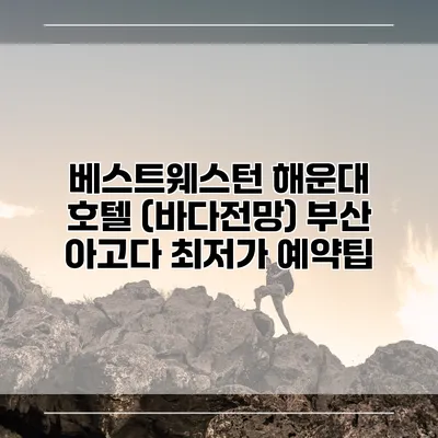 베스트웨스턴 해운대 호텔 (바다전망) 부산 아고다 최저가 예약팁