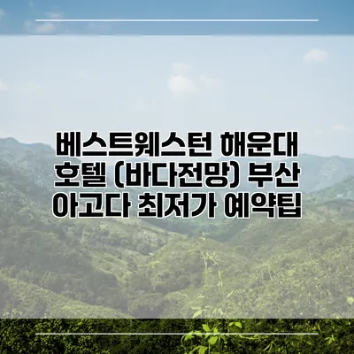 베스트웨스턴 해운대 호텔 (바다전망) 부산 아고다 최저가 예약팁