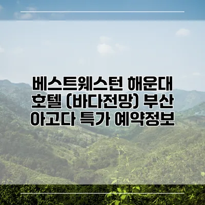 베스트웨스턴 해운대 호텔 (바다전망) 부산 아고다 특가 예약정보