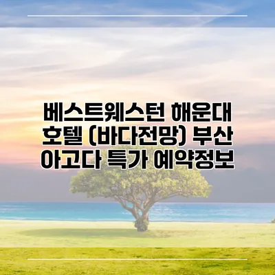 베스트웨스턴 해운대 호텔 (바다전망) 부산 아고다 특가 예약정보