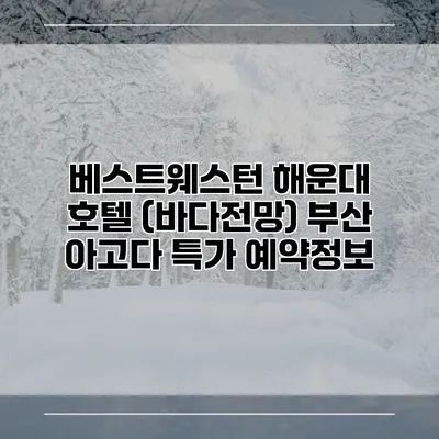 베스트웨스턴 해운대 호텔 (바다전망) 부산 아고다 특가 예약정보